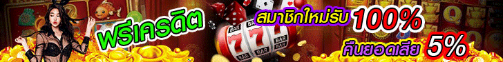 ผู้สนับสนุน